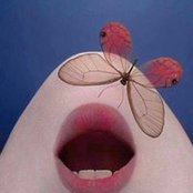 Tatyana Antropova's photo