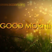 Sam Morapedis billede