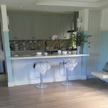 Venice Beach, Home Staging Project