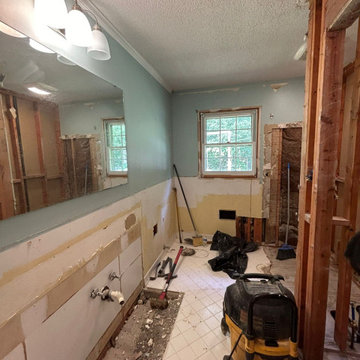 Budget friendly bathroom update