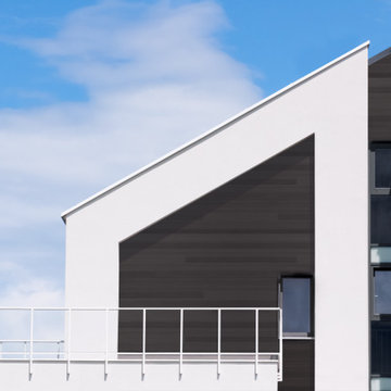 Vesta Plank Steel Siding