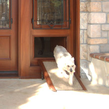 dog doors