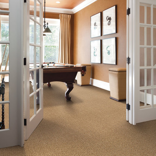 Basement Carpet Houzz