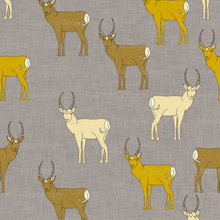 fabric