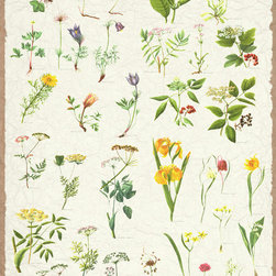 Mr Perswall Wallpapers - Wallpaper