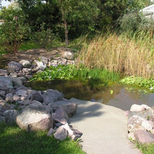 Pond/water feature