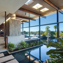 Indoor Pool Plants