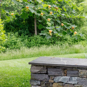 Mature Garden
