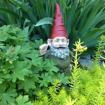 Garden Gnome