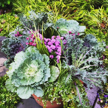 Fall Container Garden Design