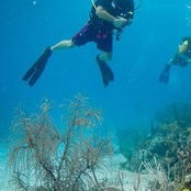 Mike Tuck's photo