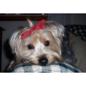 Jessica Cunningham's photo