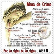 Sandra Hernandez's photo