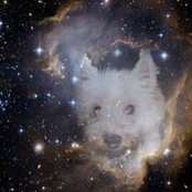 Corinna Schulz's photo