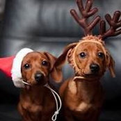 Isa Bulle's photo