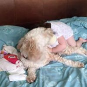 June Jones's photo