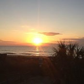 Cindy Nelson's photo