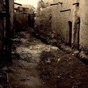 JoJo Al-Alshaikh's photo