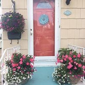 Diane Strauss's photo