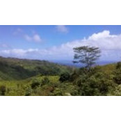 Cindy Gonzalez-Grinstead's photo