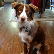 Kimberly Wellbaum's photo