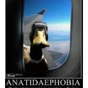 Doreen Duck's photo