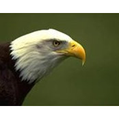 Foto von Rob Ert