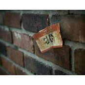 J. Matthew Joseph's photo