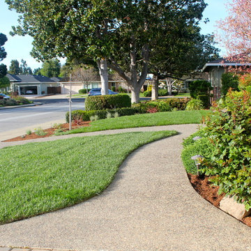 Our Work