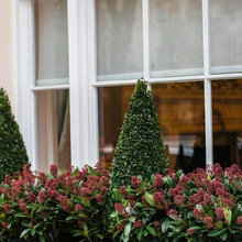 Container Garden Plants