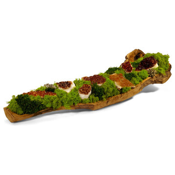 organic moss with citrine in hand carved wood log