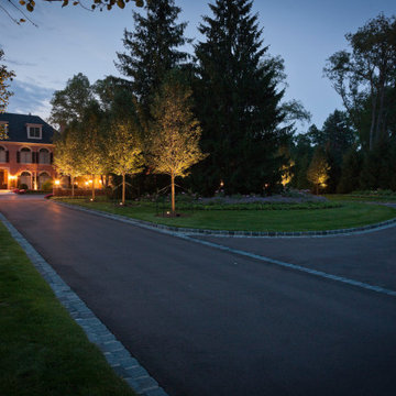 Grand Entrance
