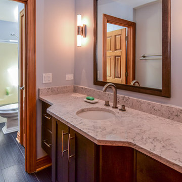 Contemporary Bathroom Remodel in Winfield, IL
