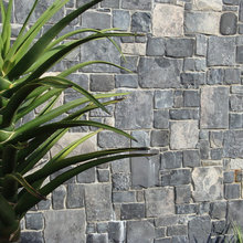 wall