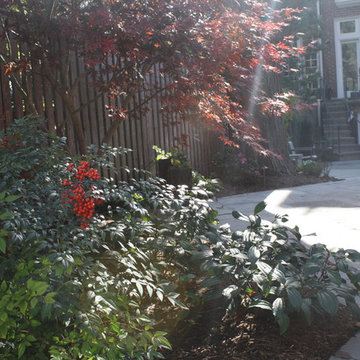 Georgetown Secret Garden