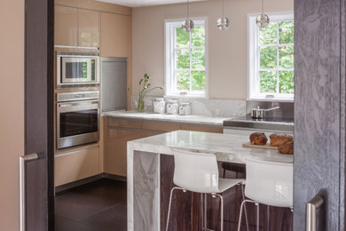 Kitchen - contemporary kitchen idea in Boston