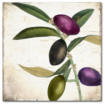 Color Bakery 'Olive Branch II' Canvas Art, 24x24