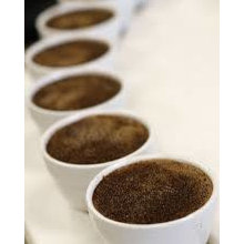 coffee cupping