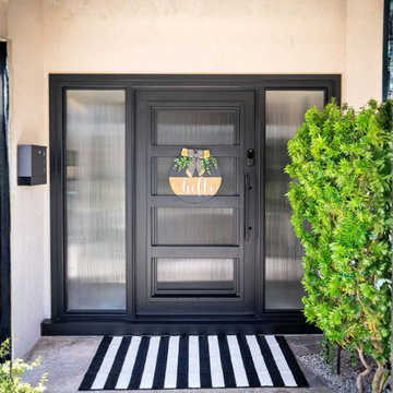Desert Contemporary Exclusive Iron Entry Door