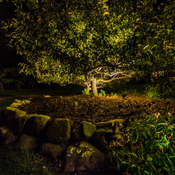 Old To New - Landscape Lighting