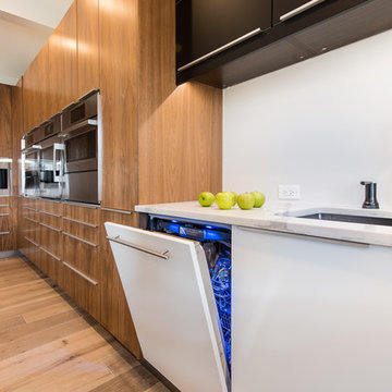Flat Panel Walnut with Matte Acrylic custom IKEA kitchen
