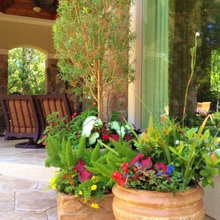 potted plants