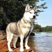 Mark Vaillancourt's photo