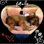 Jennifer Stieber's photo