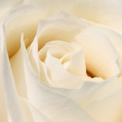 Mariana Veltcheva's photo