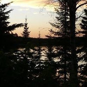 Melissa Gregory's photo