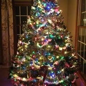 Karen Matier's photo