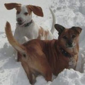 Micah Pace's photo