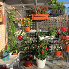 Terraza 8 metros