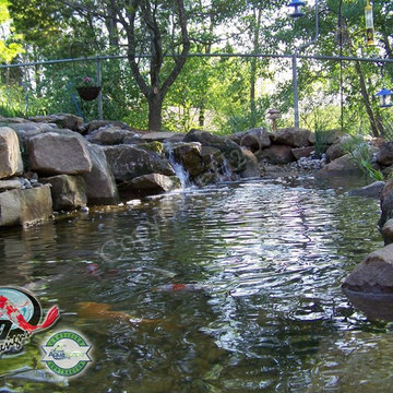 KOI Pond, Backyard Pond & Small Pond Ideas for your Kentucky Landscape
